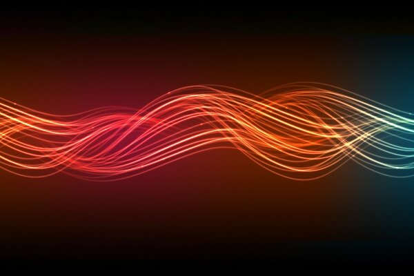 Neon di coniglio su sfondo nero