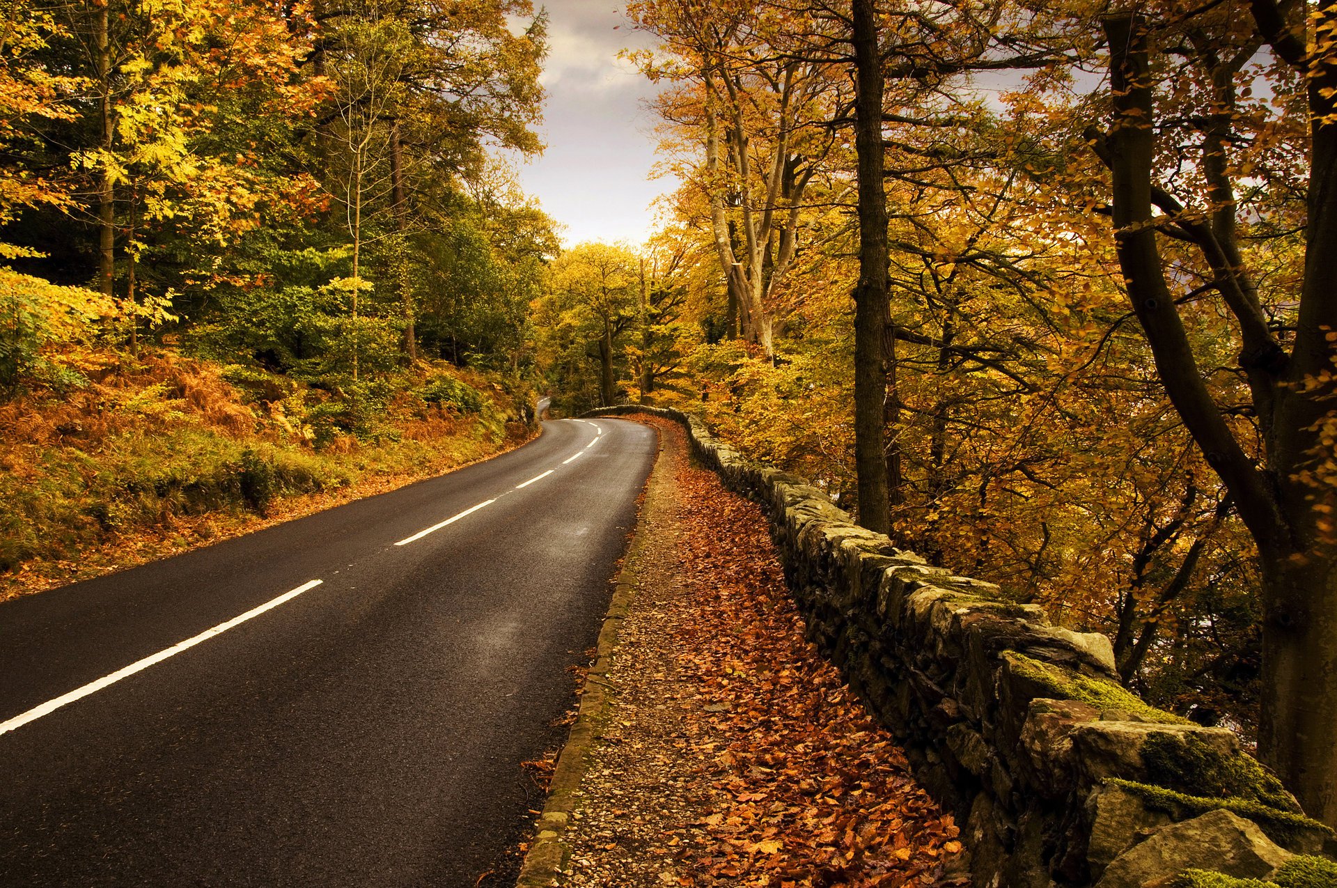 natura autunno strada segnaletica orizzontale foresta caduta delle foglie tempo d oro estate indiana foglie gialle asfalto nuvole