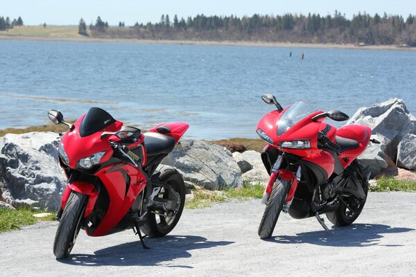 Due moto rosse sullo sfondo dell acqua
