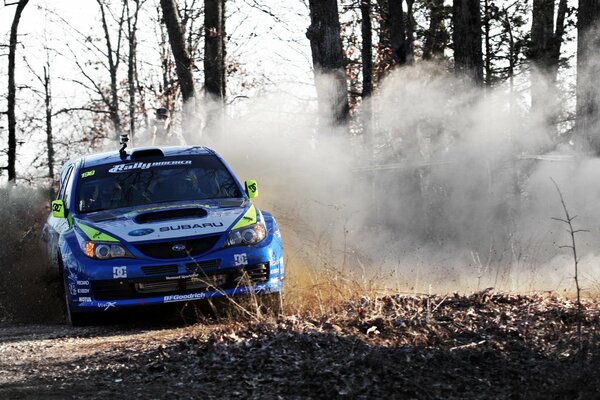 Sport subaru deriva nel bosco