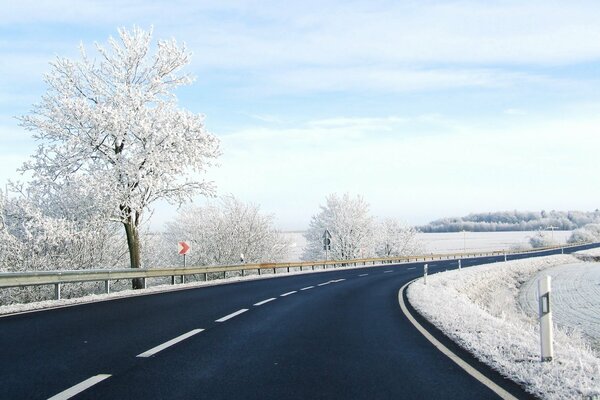 Paesaggio di pista innevata con alberi