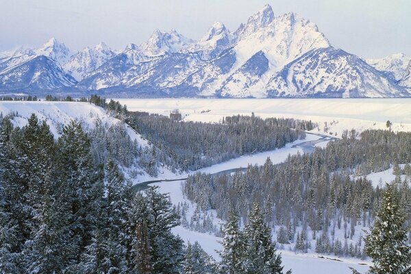 Montagne e foreste innevate