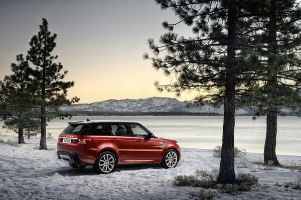Red Land Rover nella foresta invernale