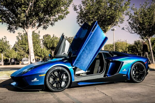 Lamborghini blu vicino agli alberi