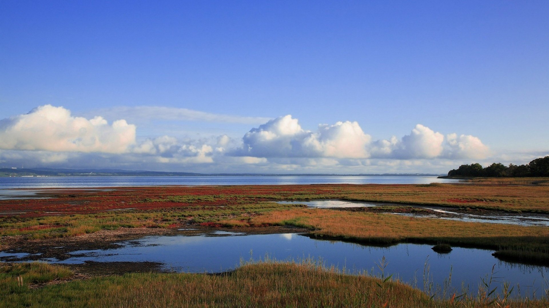 spaccature della terra acqua blu erba cielo acqua orizzonte nuvole palude paesaggio natura estate
