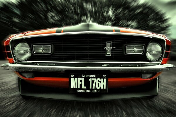 Muso di Ford Mustang su sfondo sfocato