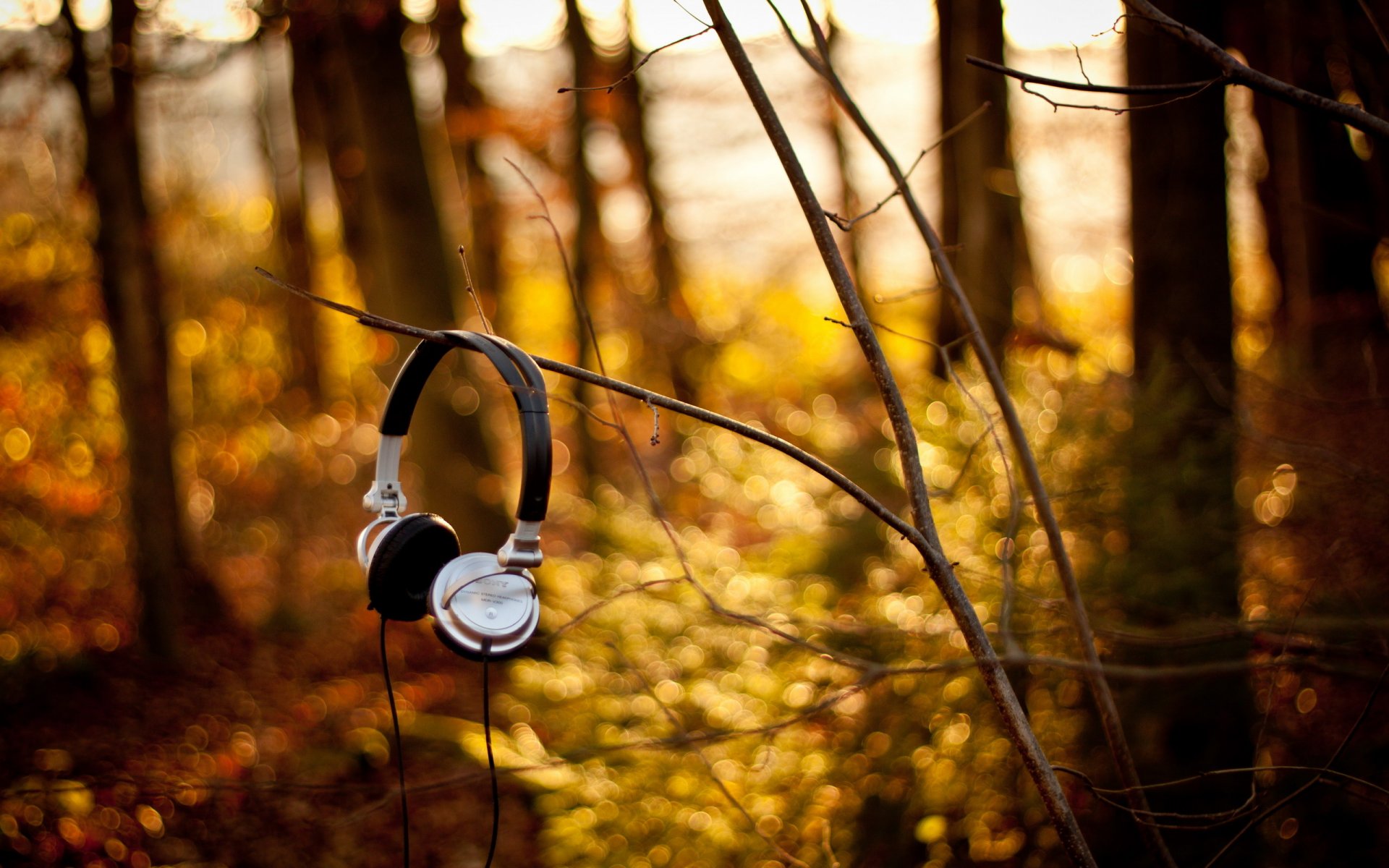 cuffie sony foresta rami