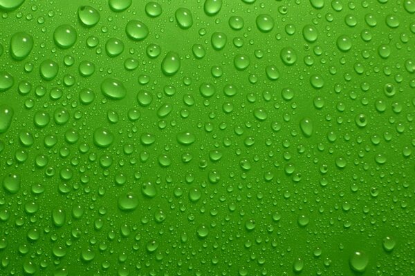Goccioline d acqua su sfondo verde