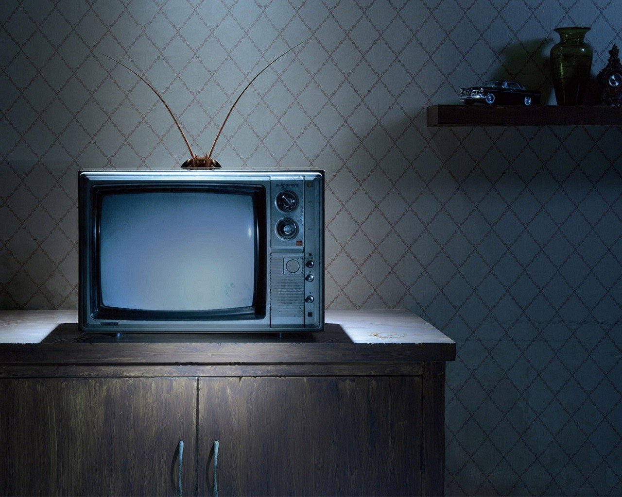 comodino tv scarafaggio baffi antenne