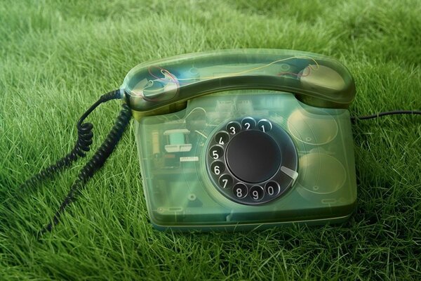 Telefono in custodia trasparente sull erba verde