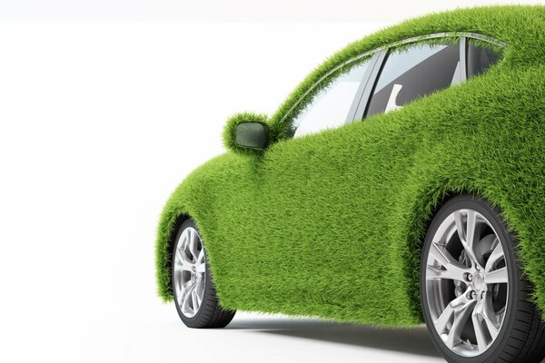 Auto decorata sotto l erba verde