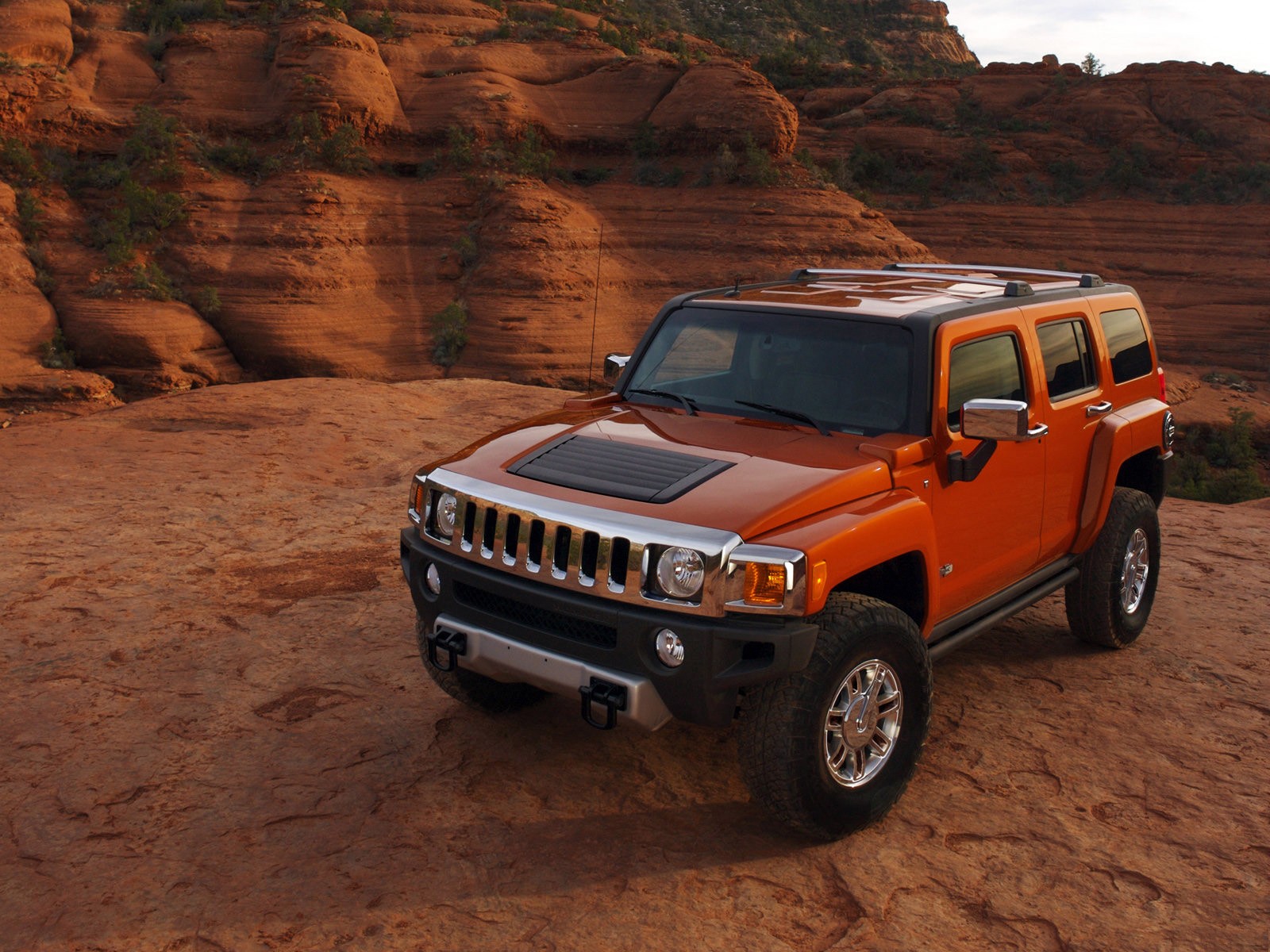 auto jeep zucca