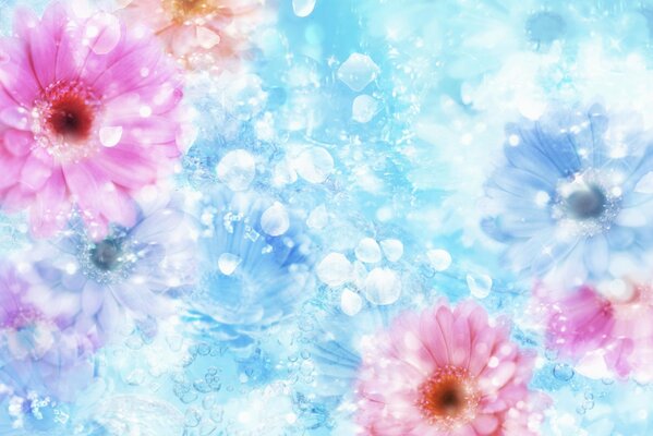 Collage di fiori rosa su sfondo blu