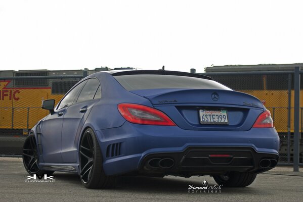 Bisonte nero Mercedes blu vicino al garage