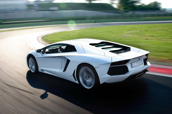 Lamborghini bianchi in gioco in pista