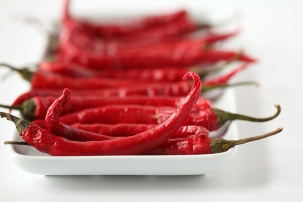 Peperoncino su un piatto bianco