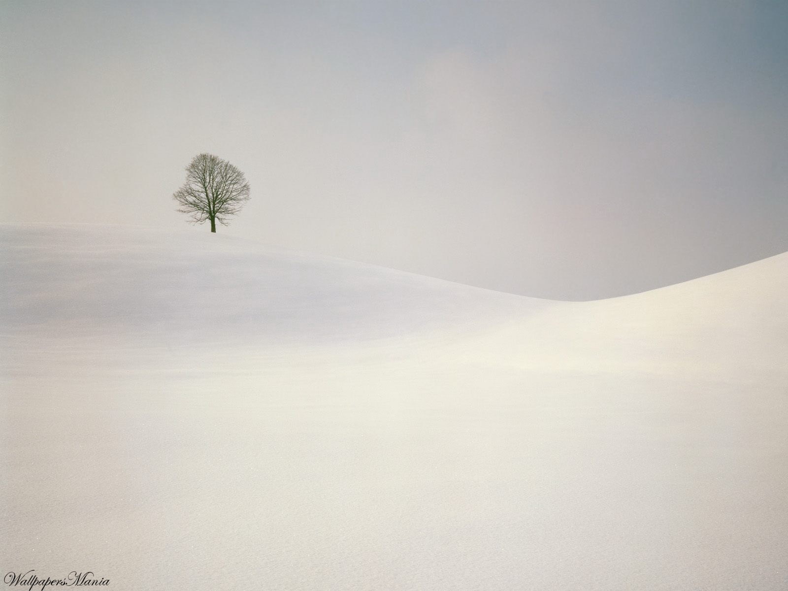 minimalismo legno colline