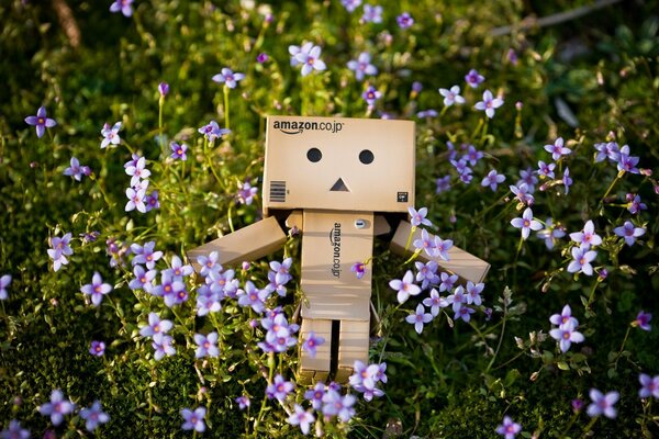 Robot box nel prato