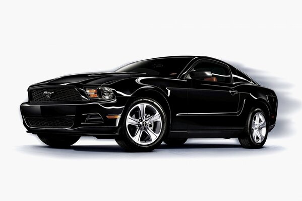 Mustang nero su sfondo bianco