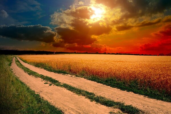 Strada attraverso il campo di grano