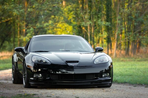Macchina Corvette Chevrolet tra alberi verdi sulla strada