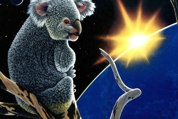 Il koala si siede su un ramo e guarda il sole