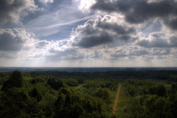 Belle nuvole sopra gli alberi e la strada