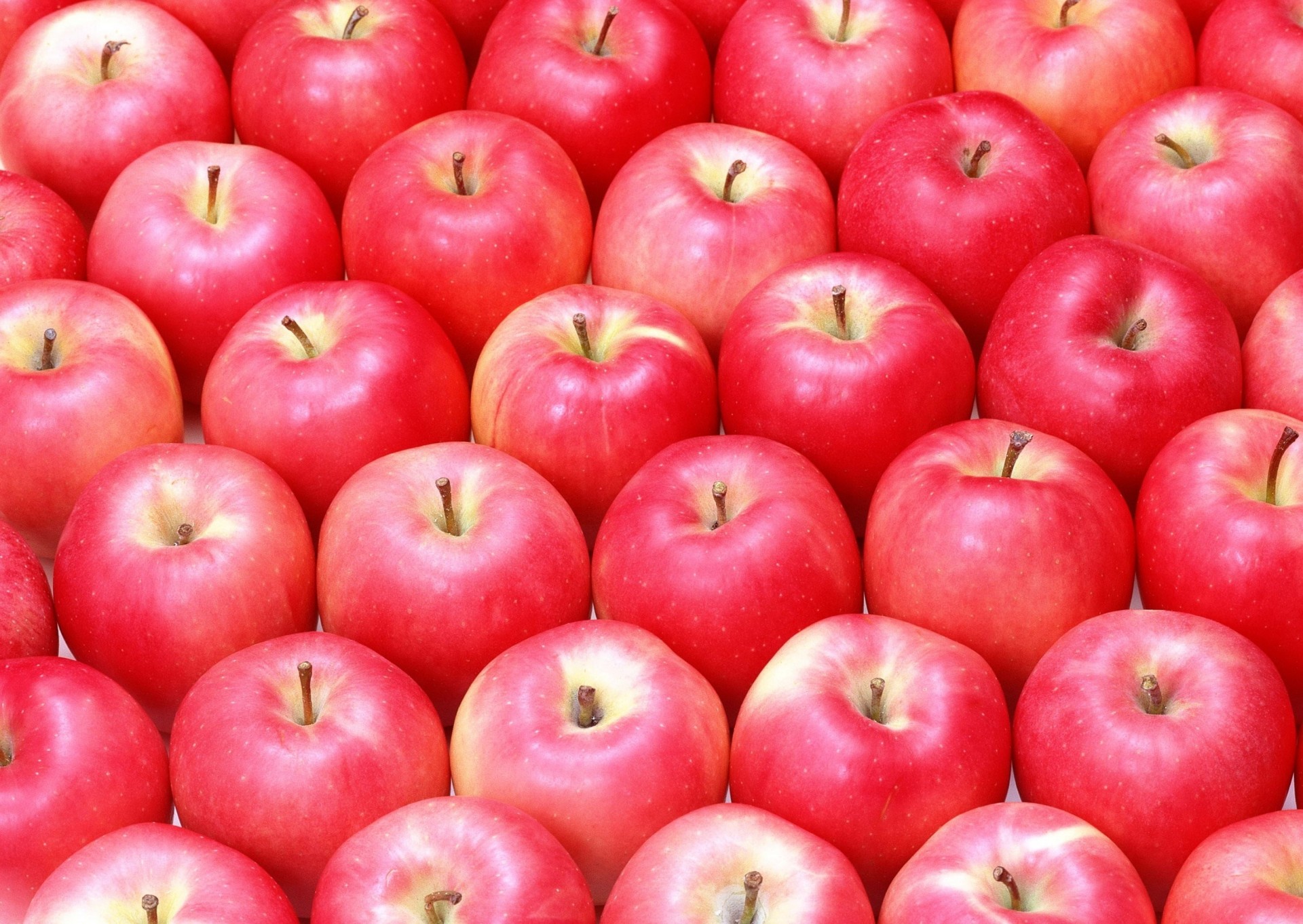 vista frutta delizioso mele