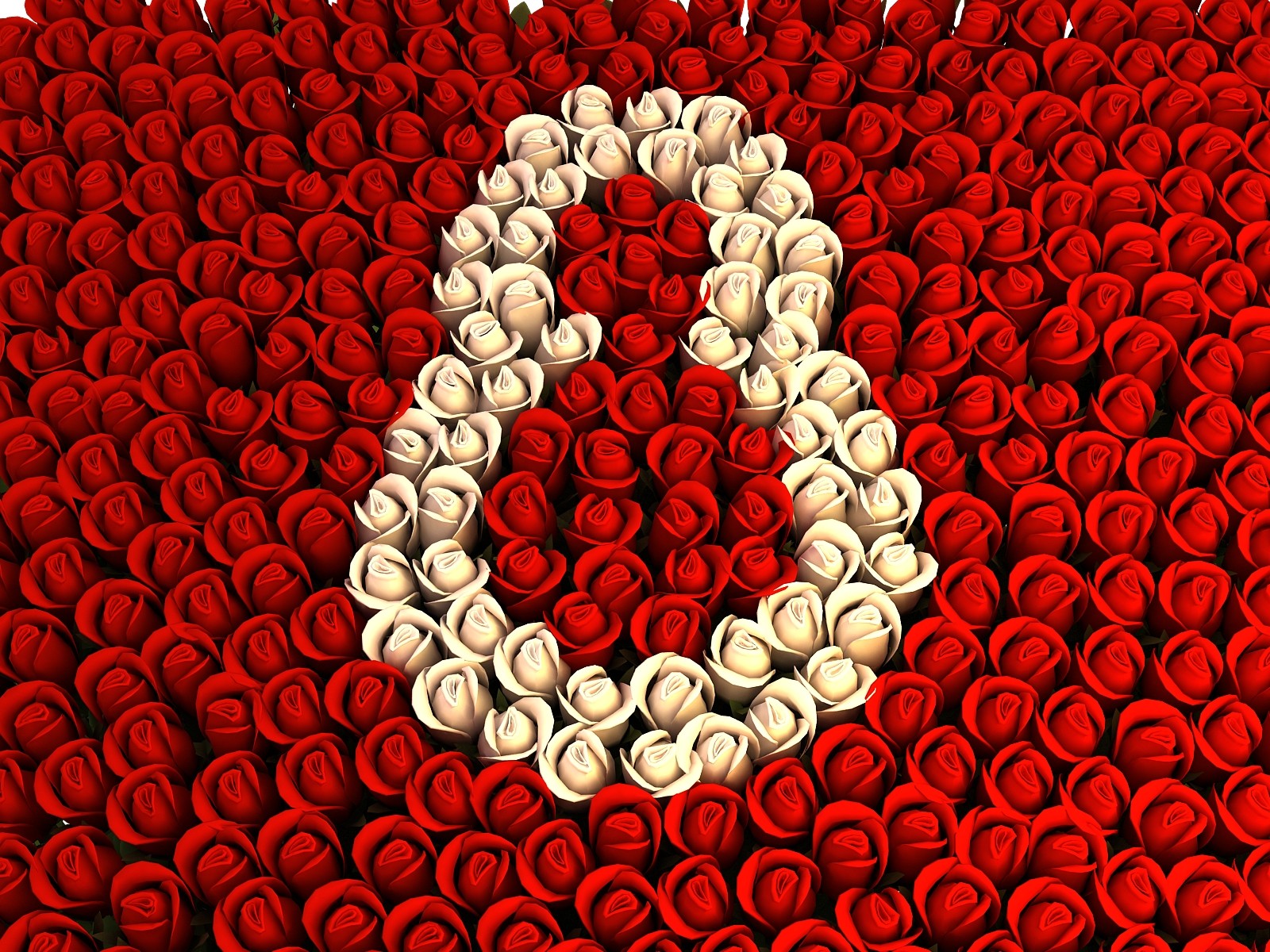 8 marzo fiori rose sfondo rosso