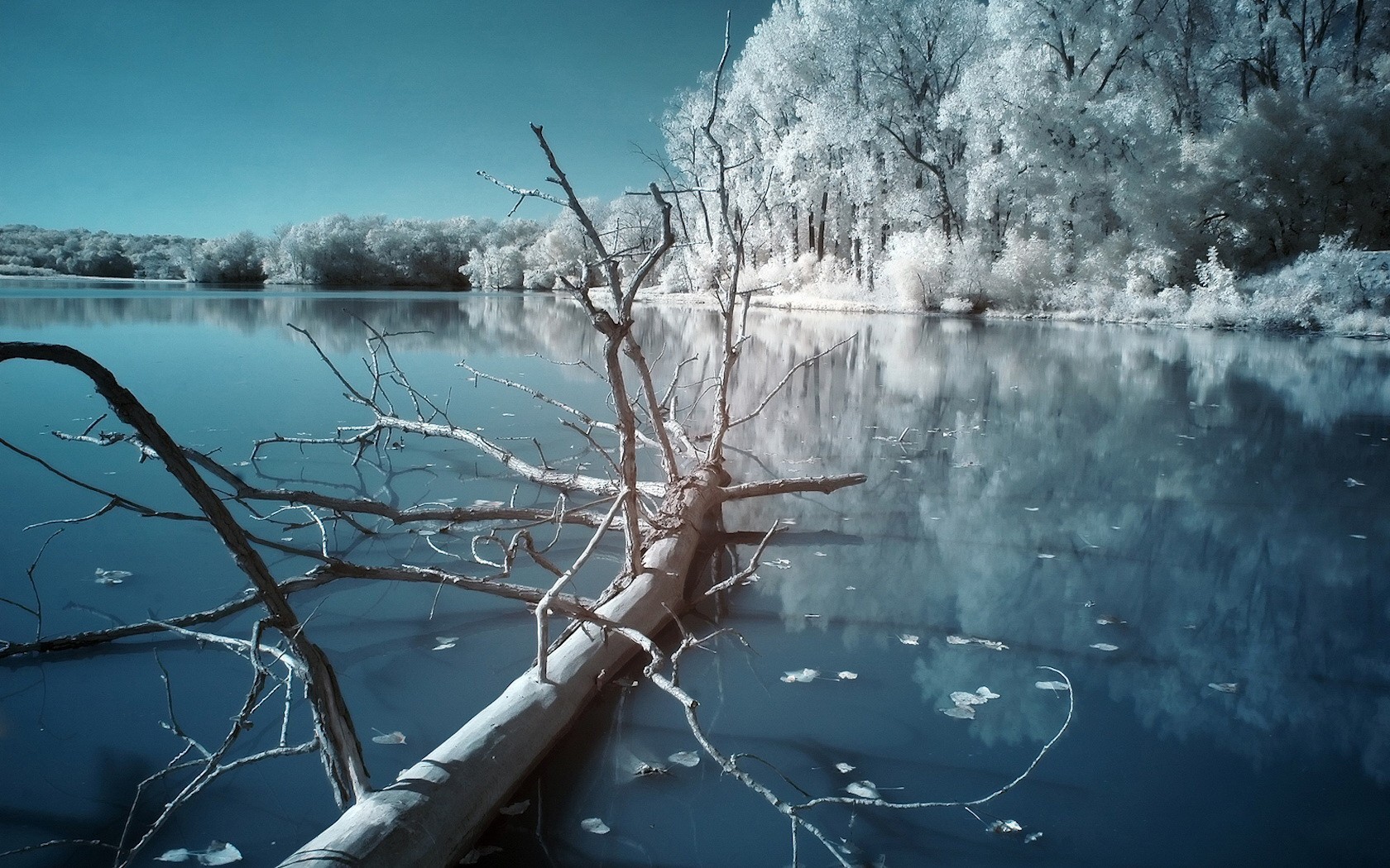inverno notte lago freddo