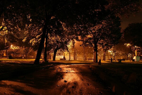 Parco buio di notte alla luce delle lanterne