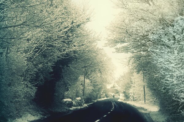 Neve non alberi vicino alla strada