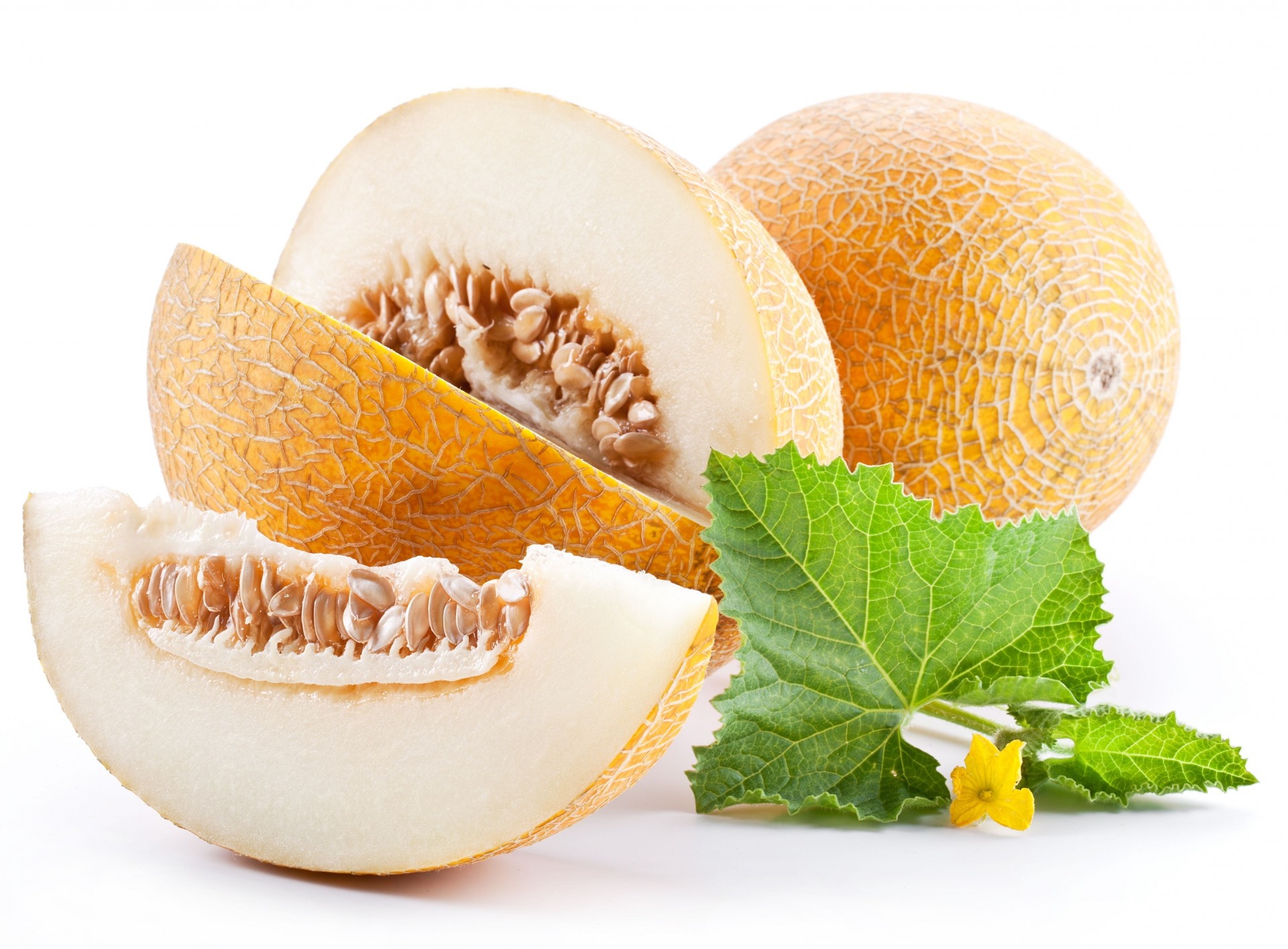 foglia fetta melone maturo