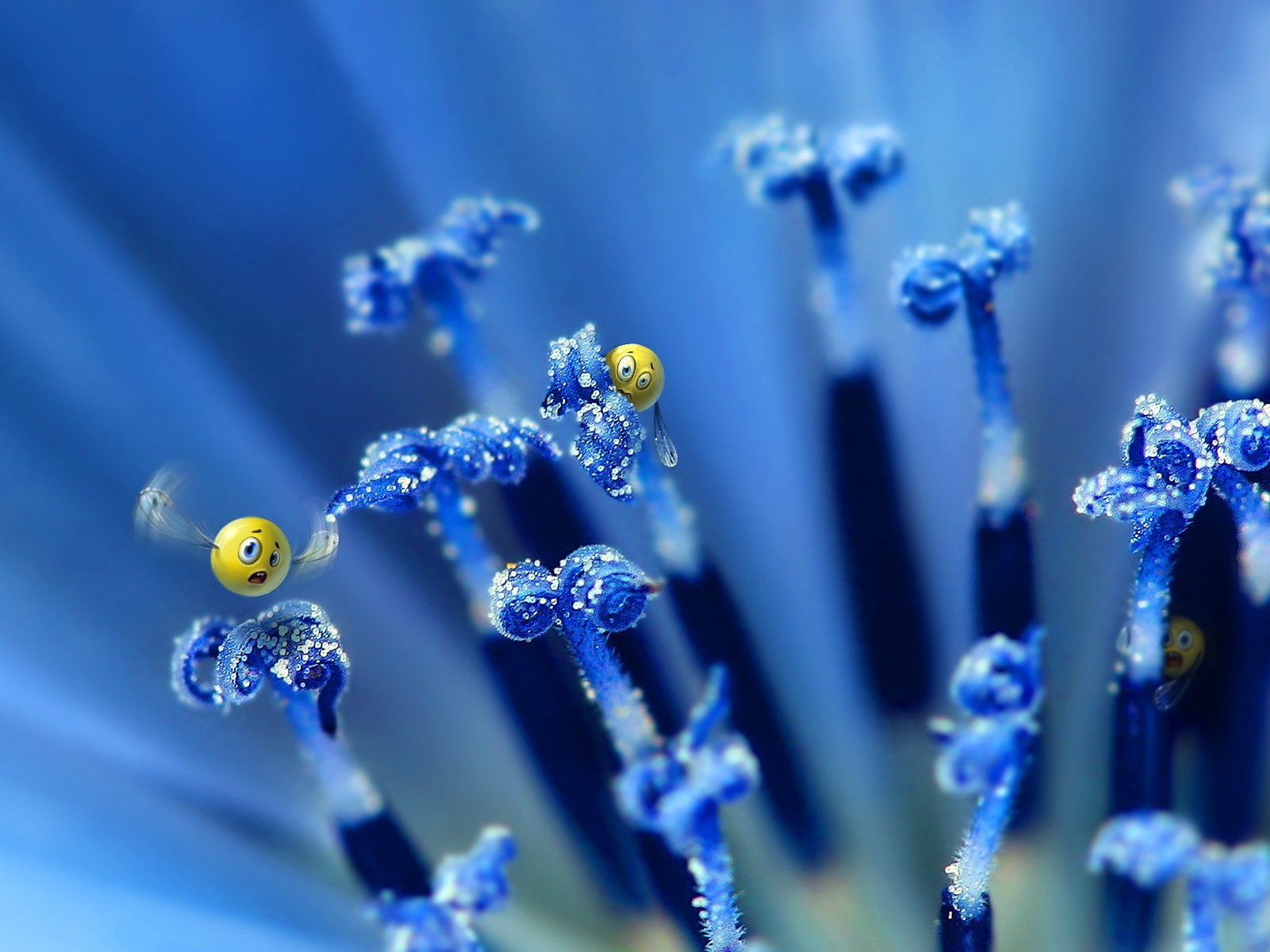 emoticon fiore blu