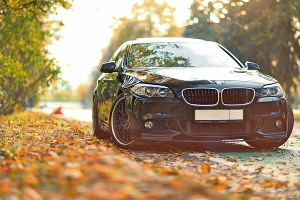 BMW sullo sfondo di foglie d autunno