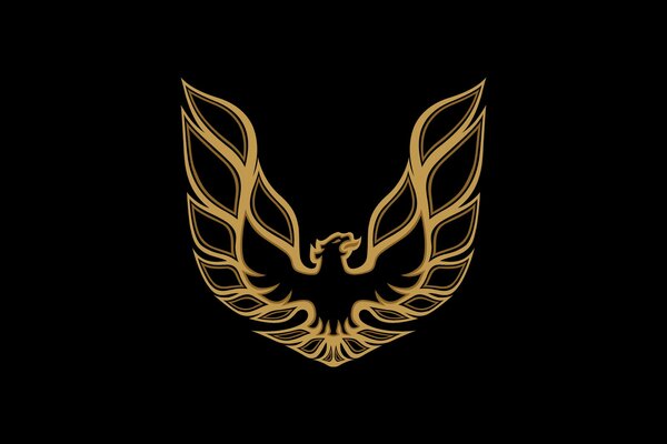 Phoenix logo della squadra di calcio
