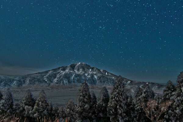Piacere paradisiaco non solo nei sogni