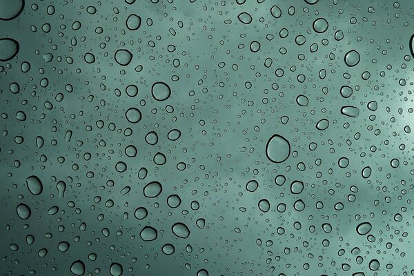 Gocce d acqua sul vetro verde