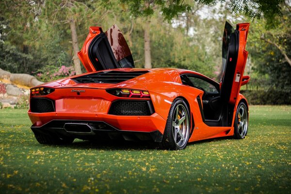 Lamborghini arancione per veri buongustai