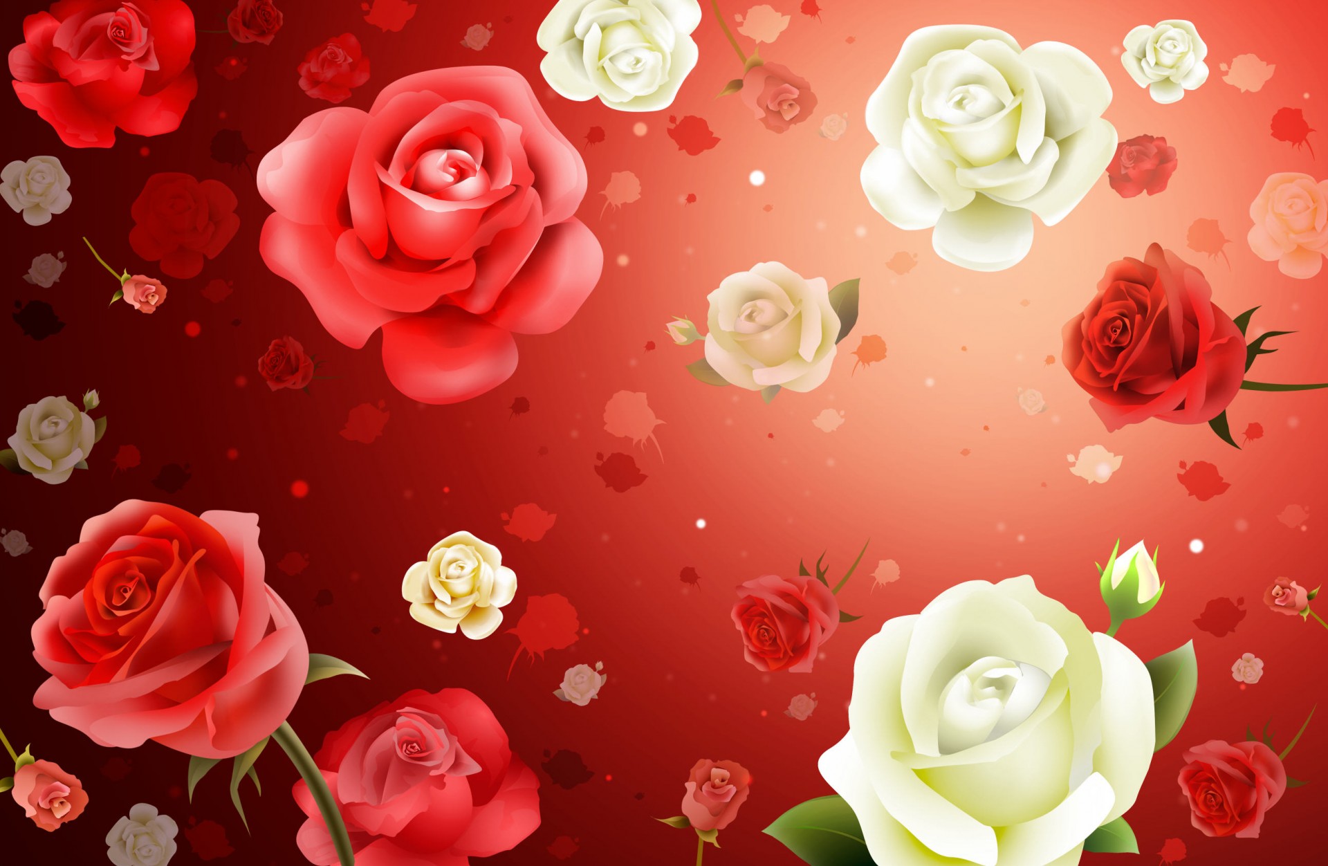 sfondo rose fiori