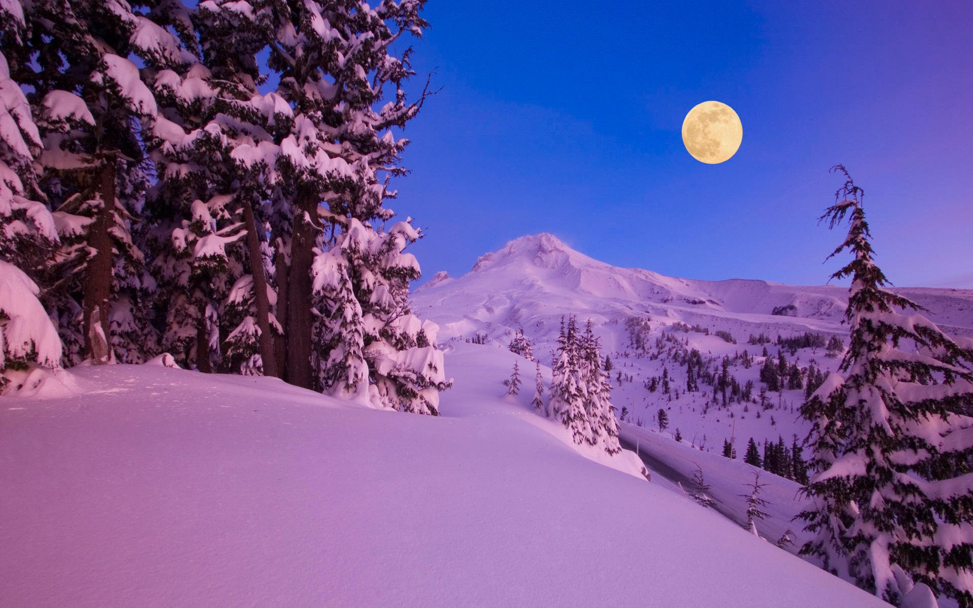 natura inverno neve montagne foreste alberi notte luna mese
