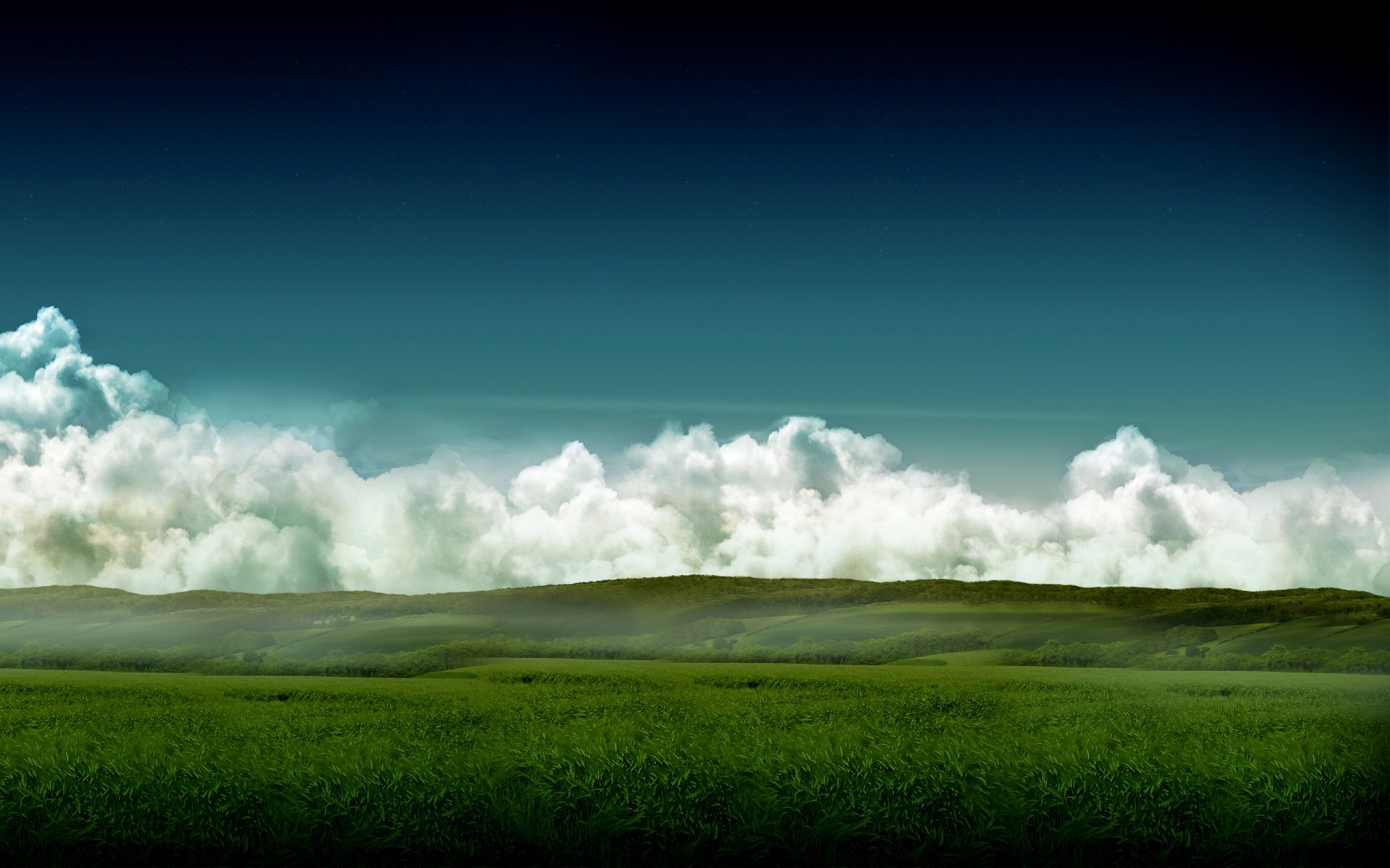 cielo campo erba