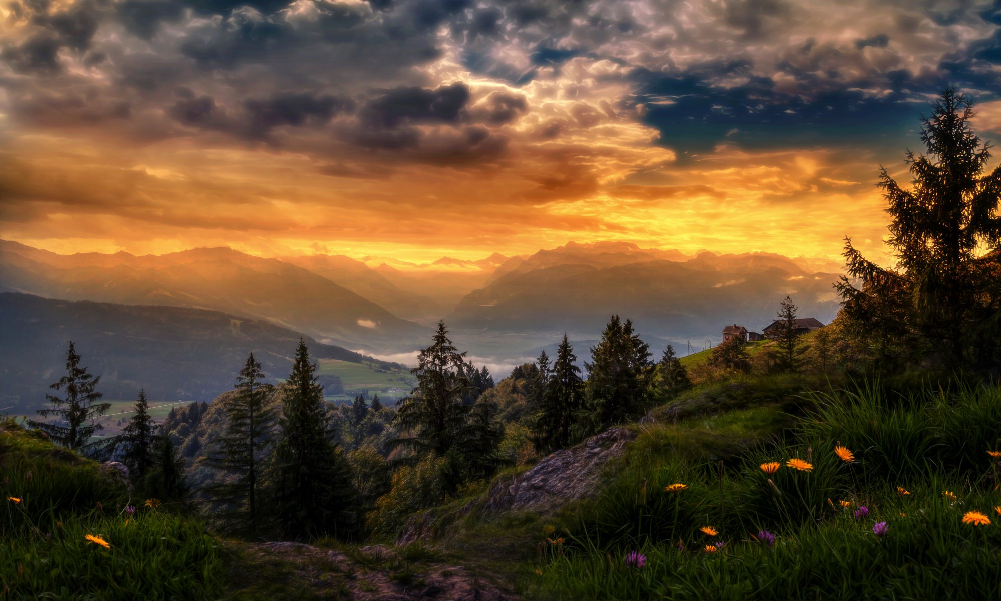 svizzera cielo nuvole montagne alberi fiori lavorazione