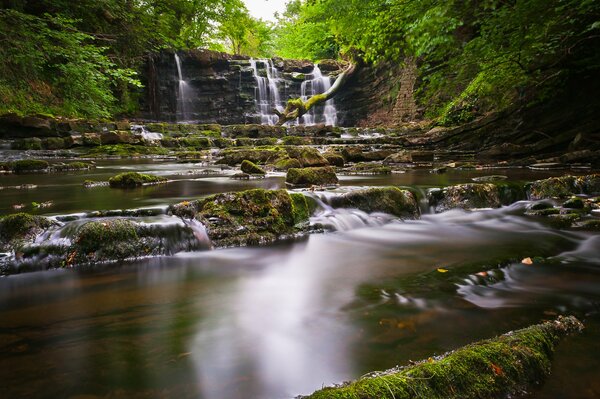Cascata tra le rocce nella foresta