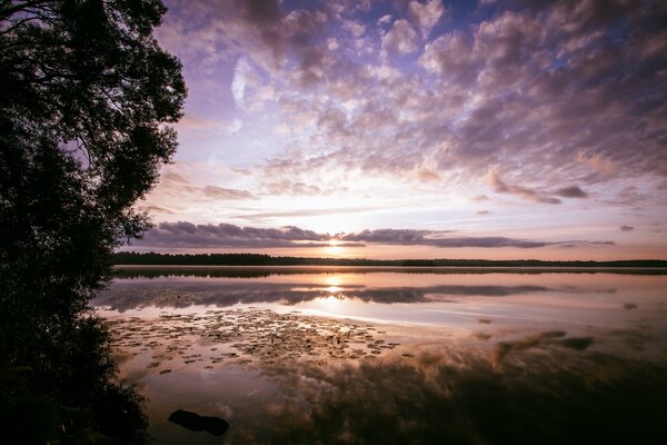 Alba mattutina vicino al lago della foresta