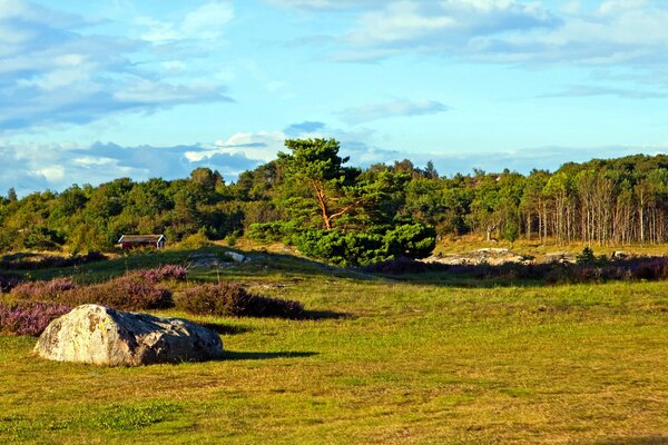 In Svezia, sul campo dove cresce una piccola erba giace una grande pietra c è una casetta dietro di essa una foresta lì crescono alberi antichi e il cielo è di un colore blu pallido