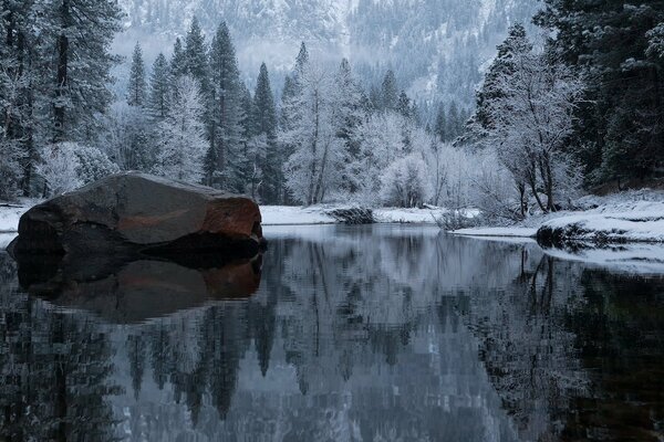 Riflesso di una foresta innevata in California