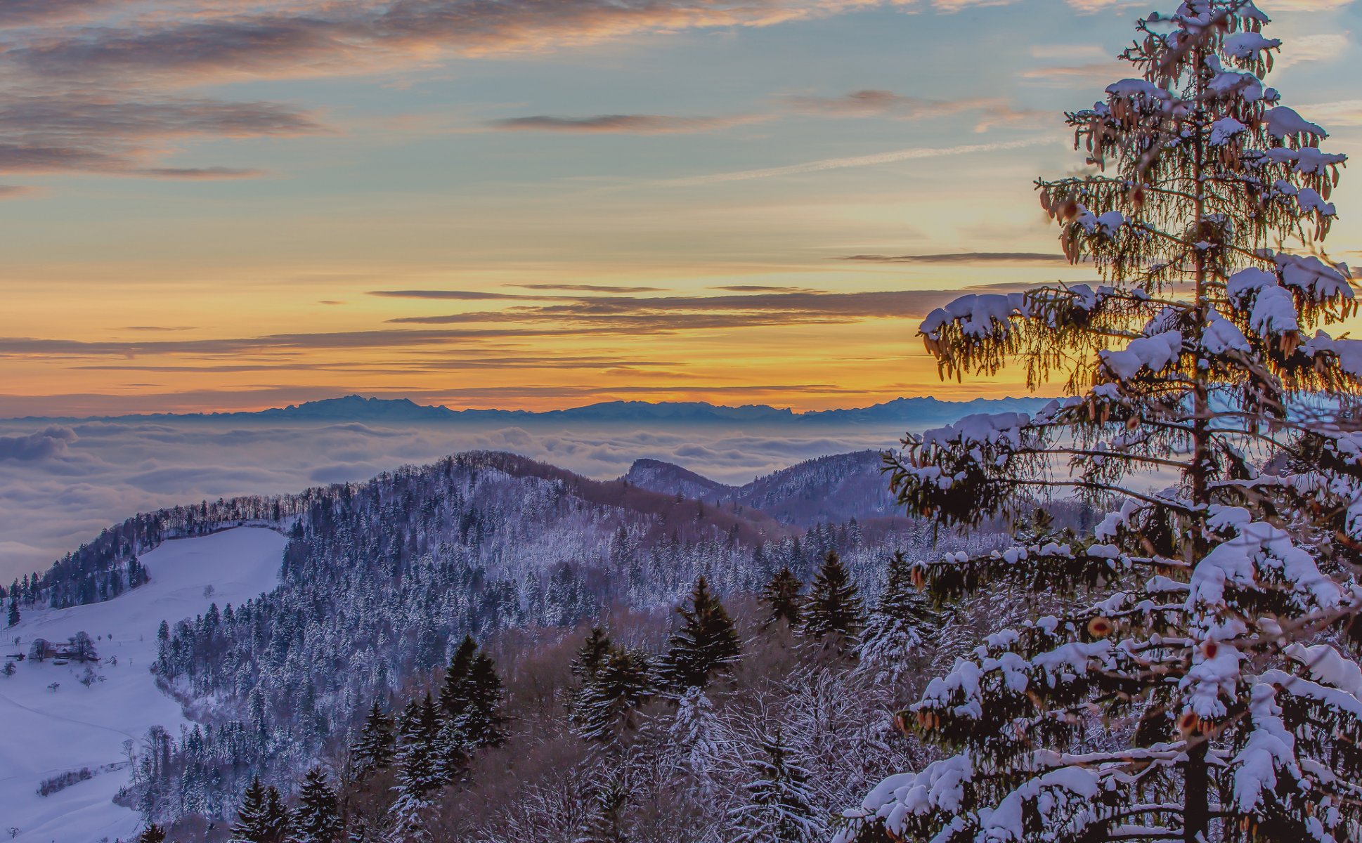 cielo bagliore nuvole nebbia inverno alberi montagne neve abete rosso