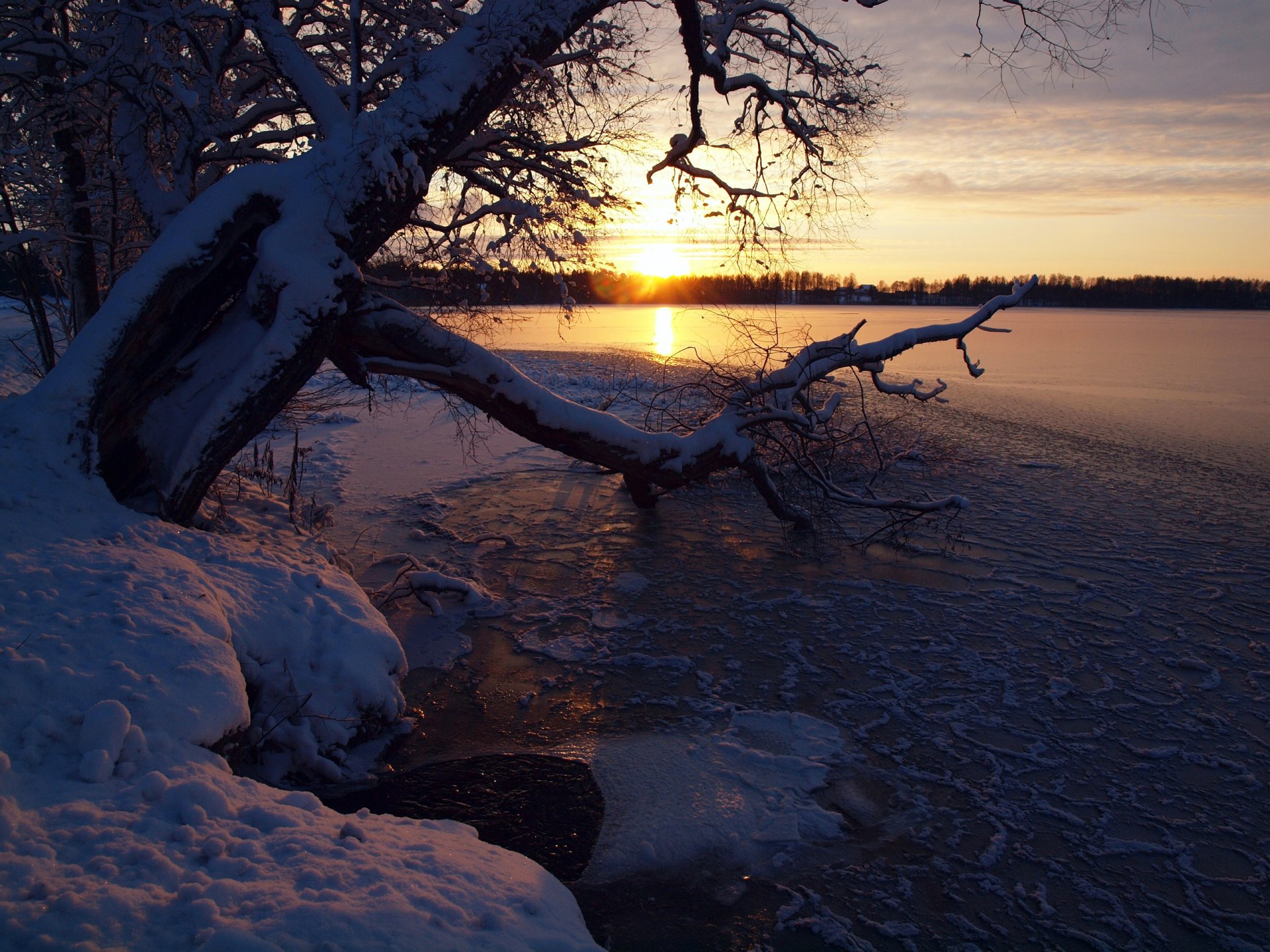 cielo tramonto inverno fiume neve albero