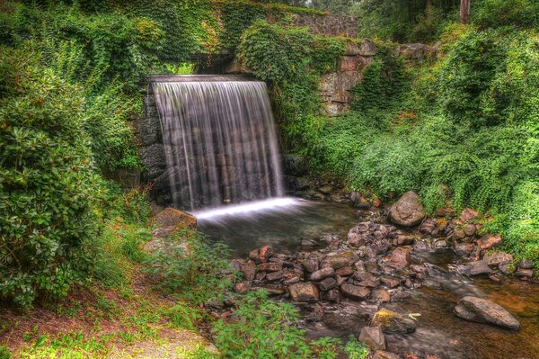 Gli alberi circondano una piccola cascata